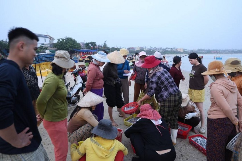 Du khách thích thú trải nghiệm chợ cá buổi sớm, hòa mình vào nhịp sống chân thực của làng chài Quảng Ngãi