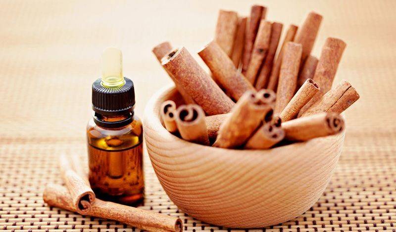 Dầu quế, một trong 50 sản phẩm được chế xuất từ quế Văn Yên, Yên Bái.