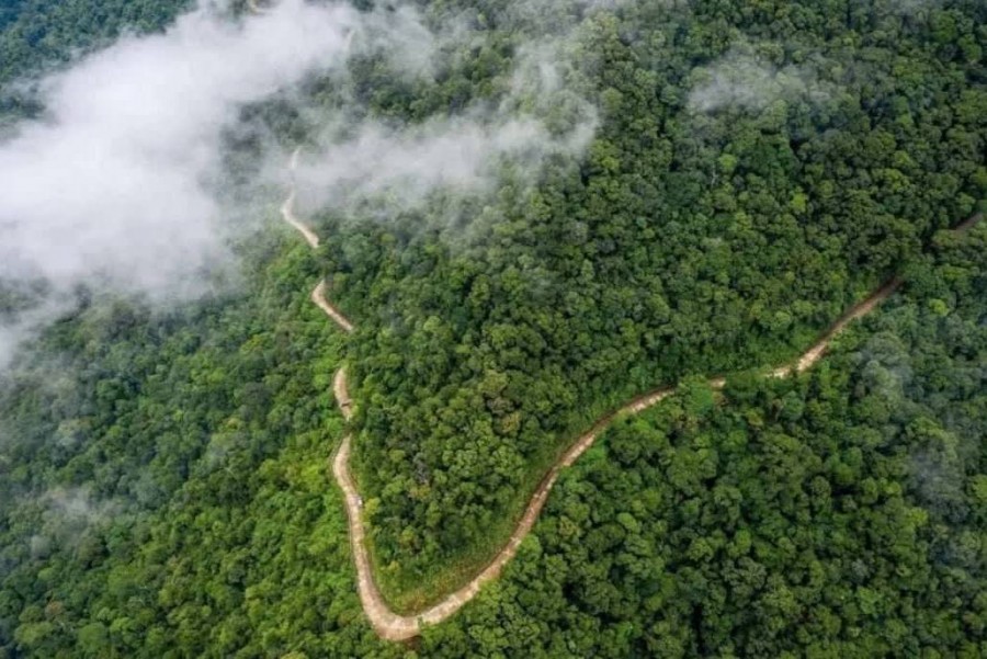 Hoàn thiện “mảnh ghép cuối” của thị trường carbon rừng: Đẩy nhanh khung pháp lý, trao quyền chủ động cho địa phương