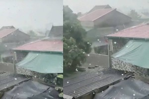 Dông lốc, mưa đá diện rộng tại Hà Tĩnh: Nông nghiệp thiệt hại, địa phương khẩn trương khắc phục