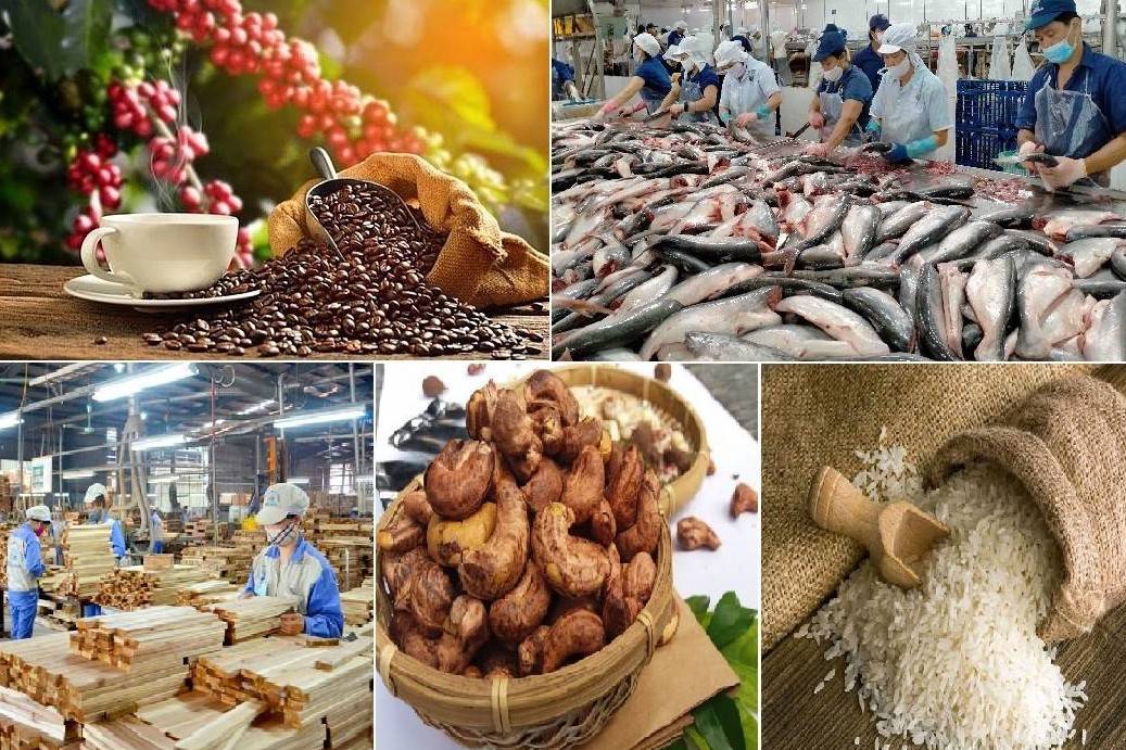 Xuất khẩu nông, lâm, thủy sản vượt 23 tỷ USD: Tăng trưởng lệch pha, áp lực giá bủa vây