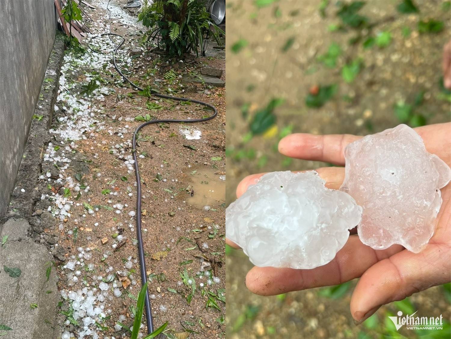 Dông lốc, mưa đá diện rộng tại Hà Tĩnh: Nông nghiệp thiệt hại, địa phương khẩn trương khắc phục