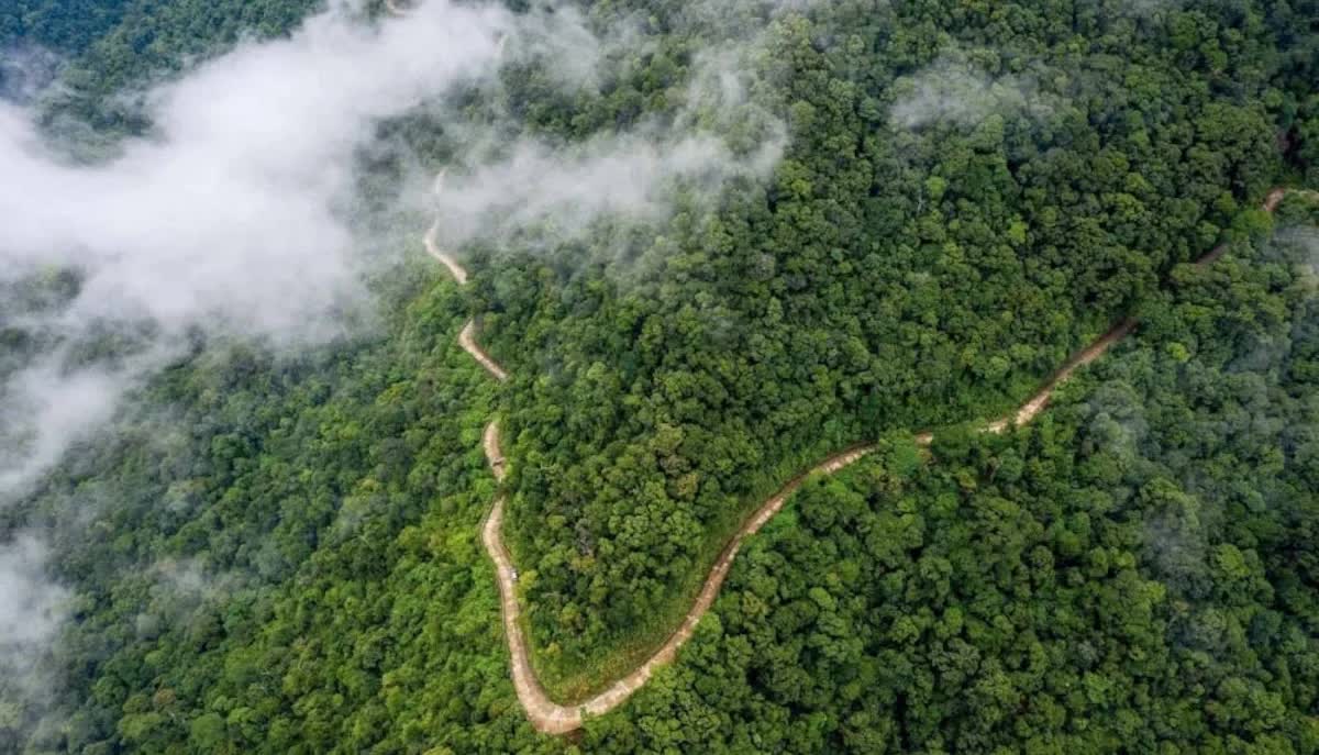 Hoàn thiện “mảnh ghép cuối” của thị trường carbon rừng: Đẩy nhanh khung pháp lý, trao quyền chủ động cho địa phương