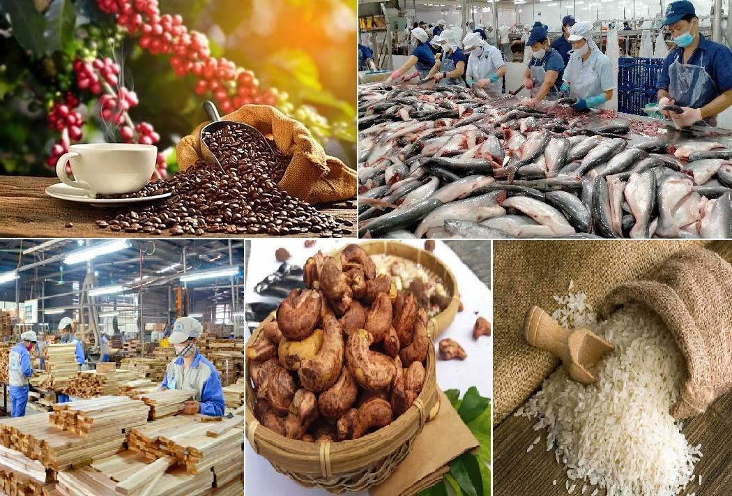 Xuất khẩu nông, lâm, thủy sản vượt 23 tỷ USD: Tăng trưởng lệch pha, áp lực giá bủa vây