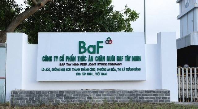 BAF Việt Nam báo lãi kỷ lục 206 tỷ đồng quý I/2026: "Hốt bạc" nhờ giá heo và chuỗi 3F