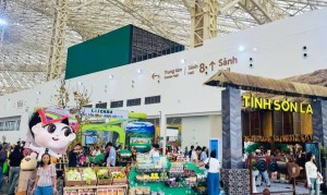 Sơn La thúc đẩy nâng cao năng suất, chất lượng doanh nghiệp 2026