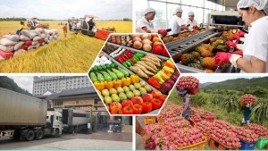 Tín dụng ưu đãi chảy vào nông sản: Cơ hội cho doanh nghiệp vượt qua tiêu chuẩn kỹ thuật quốc tế