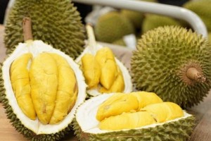 Dư cung, cạnh tranh bủa vây: Sầu riêng Việt đứng trước ngã rẽ xuất khẩu
