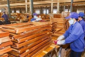 Canada siết nhập khẩu gỗ: Doanh nghiệp Việt ứng phó thế nào?