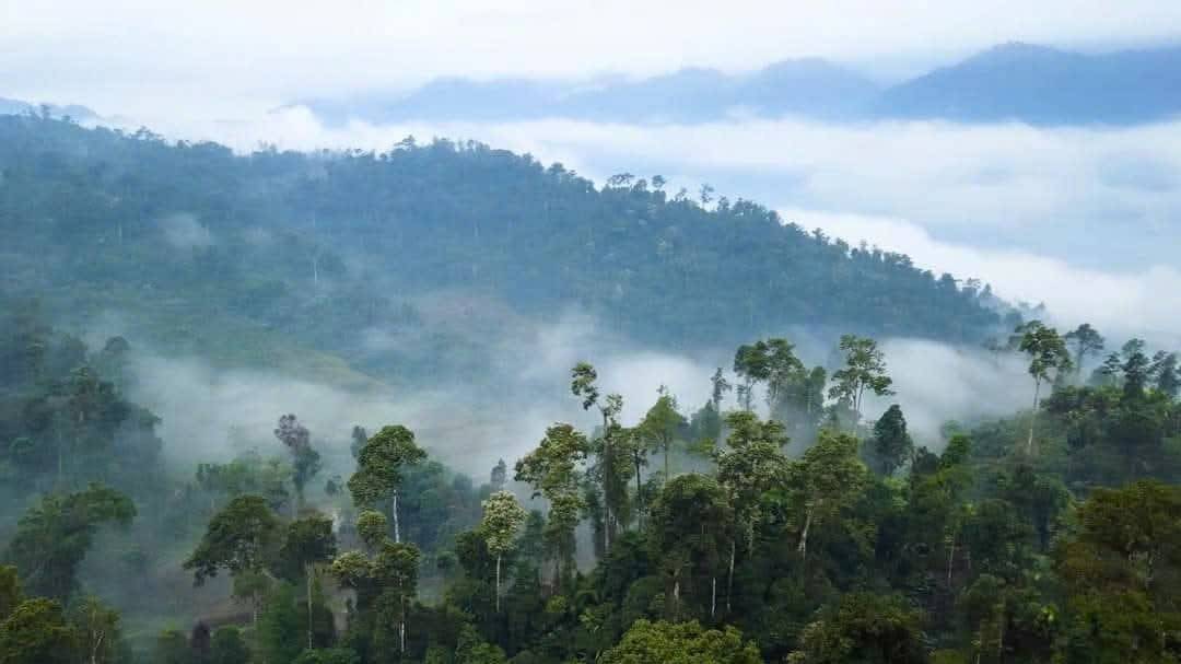 Nà Hầu (Tân Hợp, Lào Cai) mở hướng phát triển du lịch sinh thái từ lợi thế rừng và văn hóa bản địa