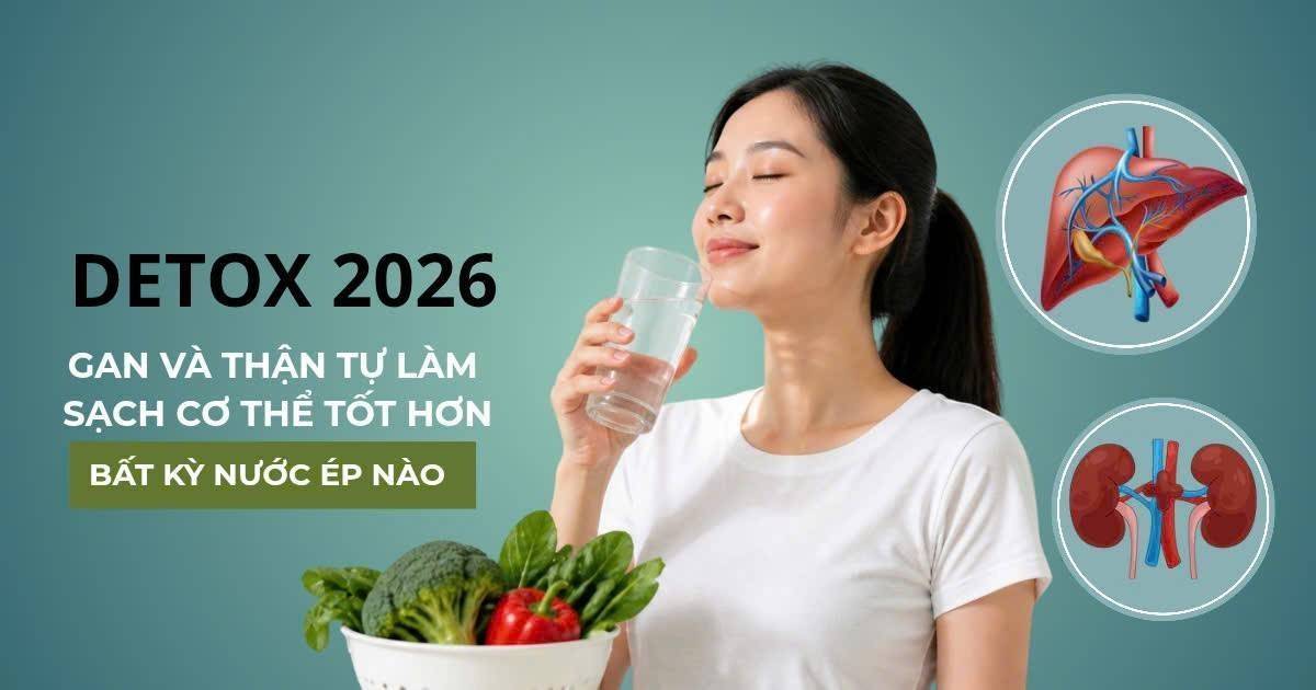 Sự thật về Detox 2026: Gan và thận tự làm sạch cơ thể tốt hơn bất kỳ nước ép nào