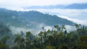 Nà Hầu (Tân Hợp, Lào Cai) mở hướng phát triển du lịch sinh thái từ lợi thế rừng và văn hóa bản địa
