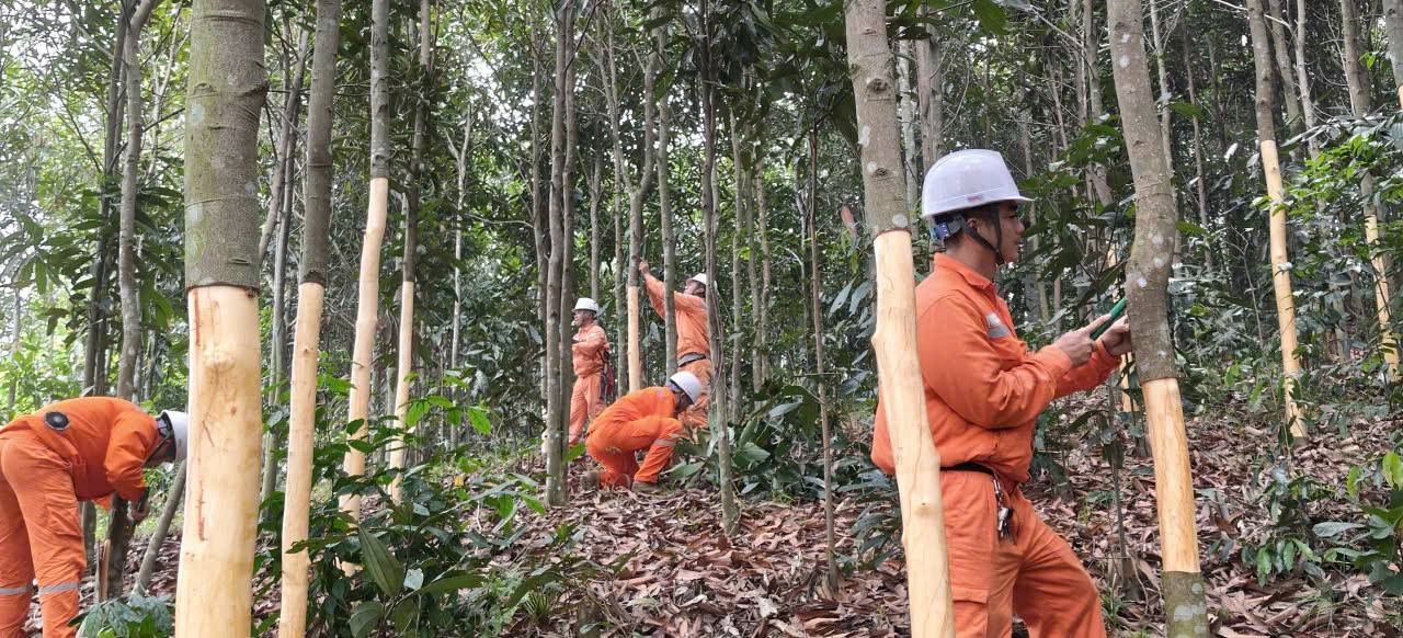Điện lực Văn Yên (Lào Cai) tăng tốc giải phóng hành lang, bảo đảm an toàn lưới điện