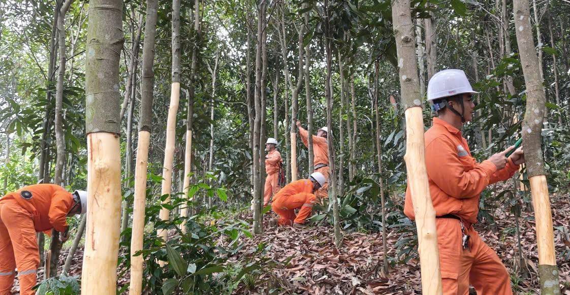 Điện lực Văn Yên (Lào Cai) tăng tốc giải phóng hành lang, bảo đảm an toàn lưới điện