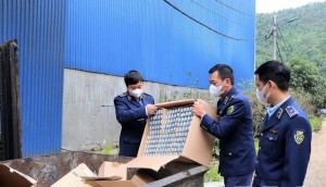 Điện Biên: Hơn 470 vụ vi phạm thị trường, thu trên 6 tỷ đồng trong 5 tháng