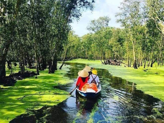 Cà Mau: Đánh thức tiềm năng du lịch sinh thái qua sự kiện "Hương rừng U Minh năm 2026"