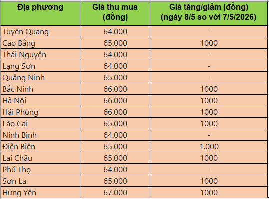 Bảng giá heo hơi tại miền Bắc hôm nay 8/5/2026
