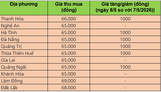 Bảng giá heo hơi tại miền Trung - Tây Nguyên hôm nay 8/5/2026