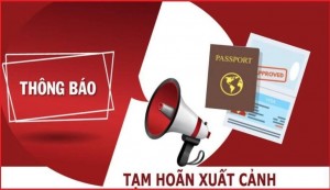 Nợ thuế hơn 18 tỷ đồng: Chủ tịch Công ty Bình Triệu đối mặt nguy cơ tạm hoãn xuất cảnh