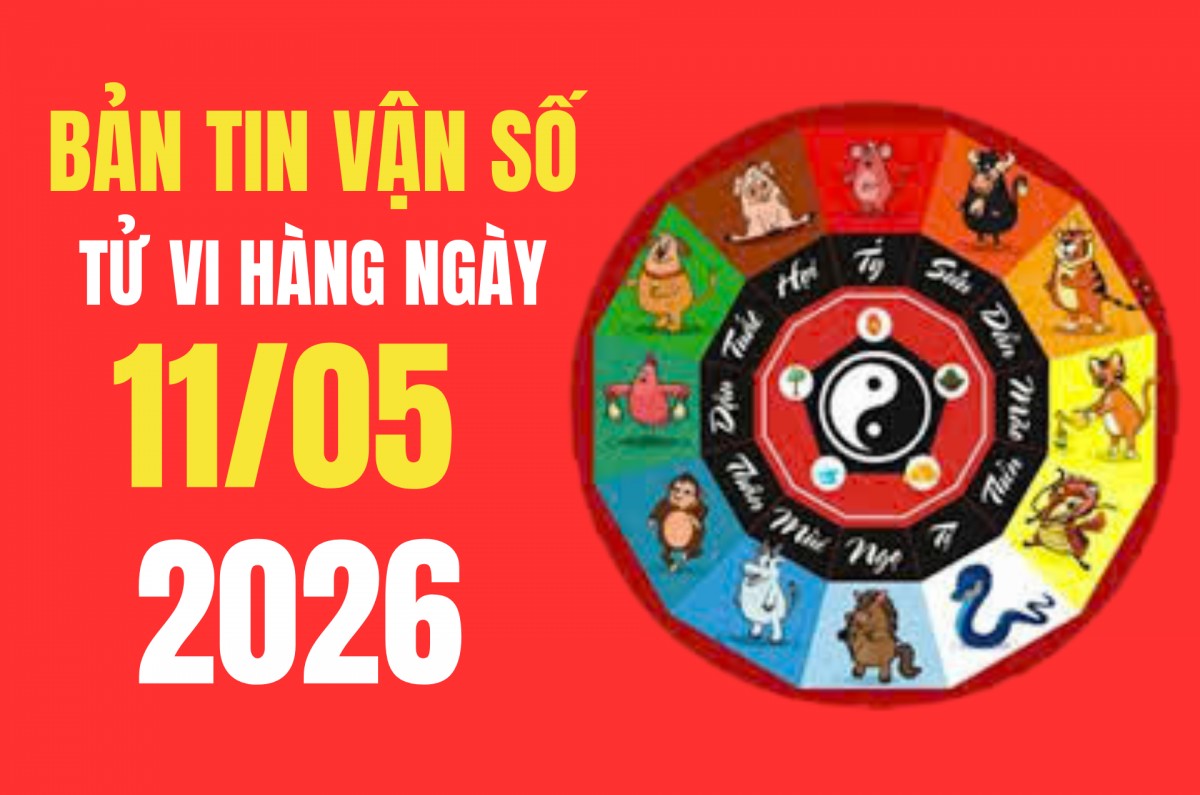 Tử vi - Vận số ngày 11/5/2026: Hướng Đông Nam hút tài khí, 4 con giáp đón vận may rực rỡ