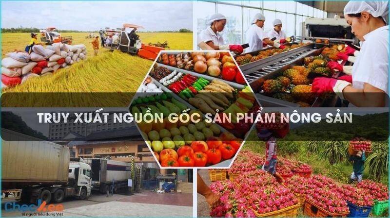Đồng Tháp: Năm 2026 thí điểm áp dụng hệ thống truy xuất nguồn gốc nông sản