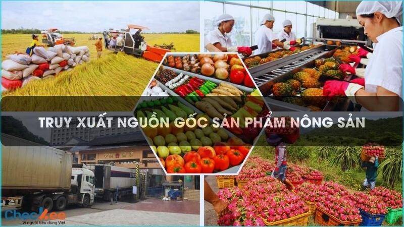 Đồng Tháp: Năm 2026 thí điểm áp dụng hệ thống truy xuất nguồn gốc nông sản