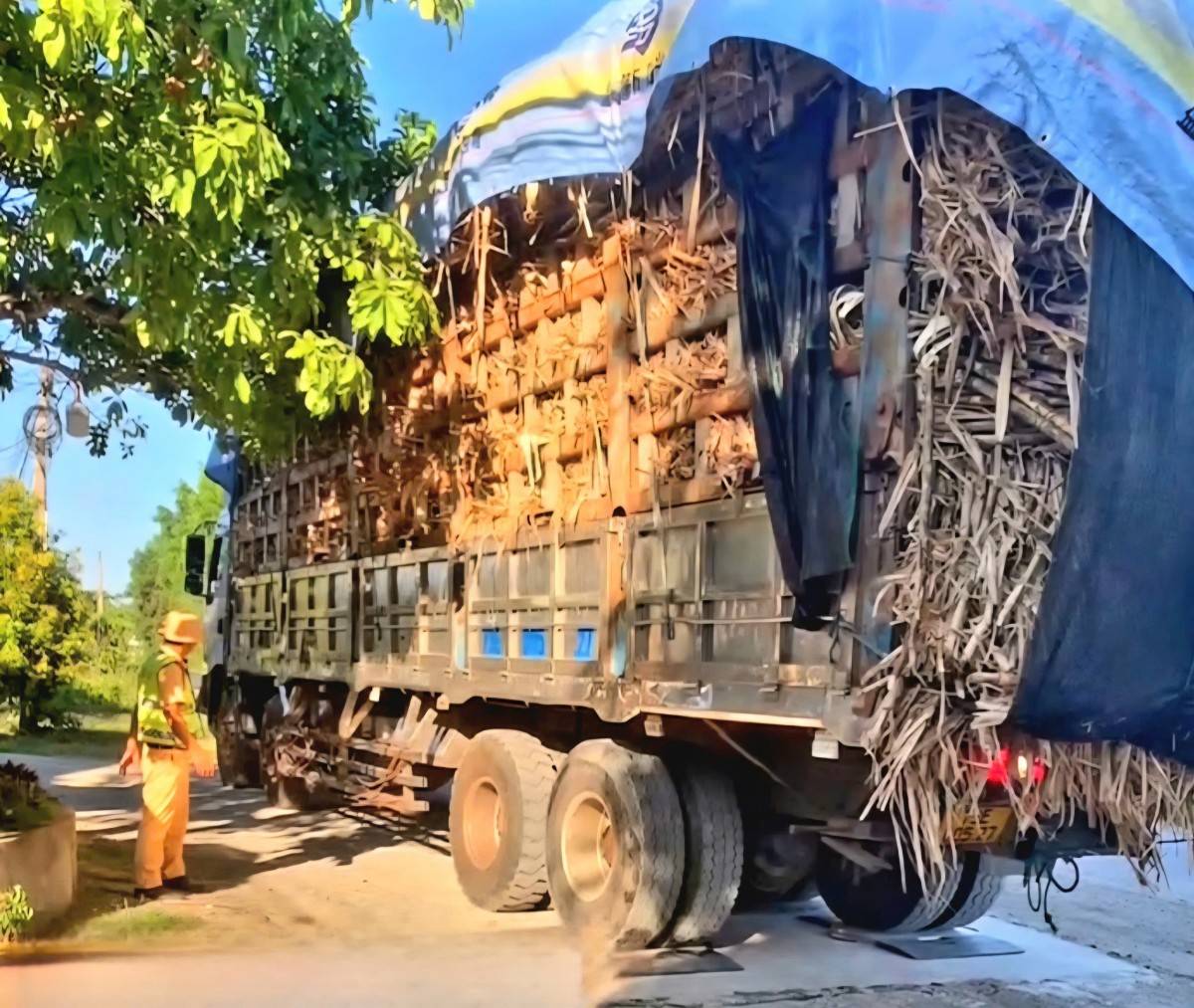 Xe ô tô tải BKS 73E-005.27 chở hàng (mía cây) vượt quá tải trọng cho phép lên tới 170,9%.