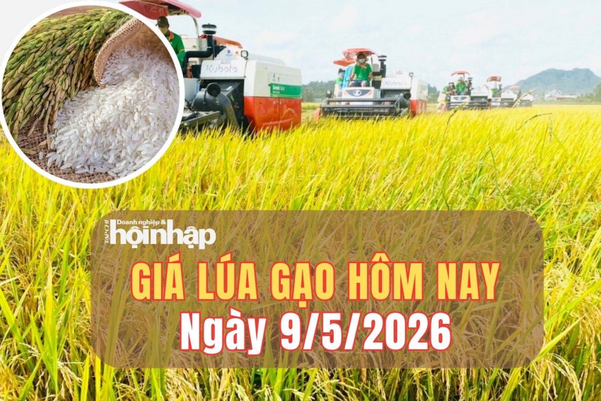 Giá lúa gạo hôm nay 9/5/2026: Giá gạo nguyên liệu bất ngờ giảm giá, phụ phẩm tăng mạnh