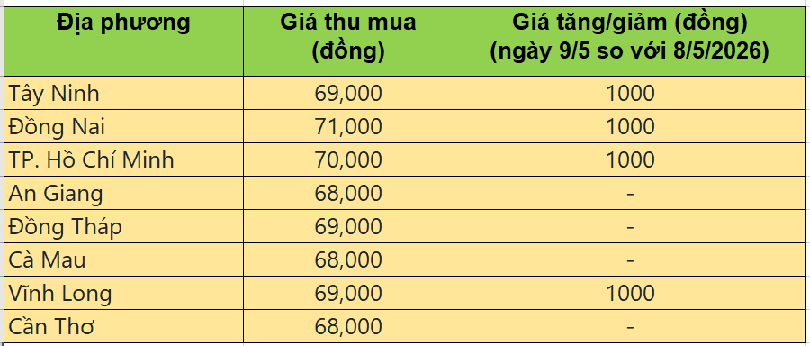 Bảng giá heo hơi tại miền Nam hôm nay 9/5/2026