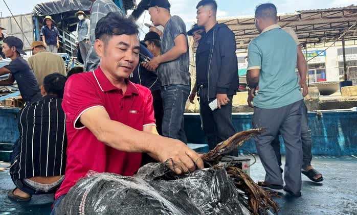 Ngư dân Bình Sơn phấn khởi sau chuyến biển dài ngày