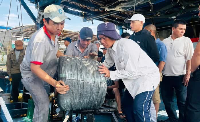Ngư dân tất bật phân loại mực ngay trên boong tàu sau hành trình dài ngày trên biển