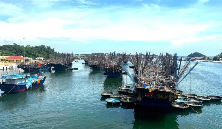 Theo thống kê, toàn xã Bình Sơn hiện có hơn 400 tàu cá, trong đó nghề câu mực xà chiếm hơn 160 chiếc. Khoảng 60 tàu hoạt động dài ngày từ 2 - 3 tháng trên ngư trường Trường Sa