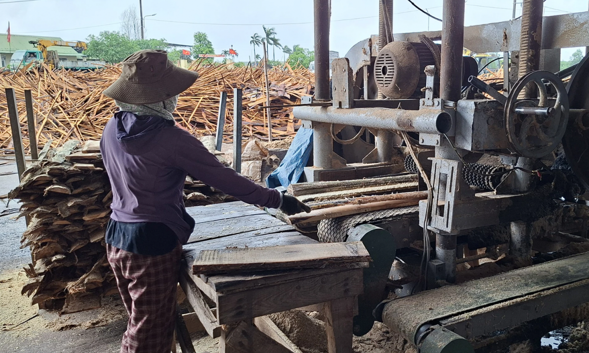 Quảng Trị: Khuyến công góp phần nâng sức cạnh tranh cho doanh nghiệp tại CCN Hải Lệ