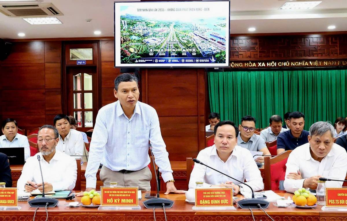 Ông Hồ Kỳ Minh, Phó Chủ tịch Thường trực UBND thành phố Đà Nẵng, Chủ tịch VIFC-DN phát biểu tại buổi làm việc.