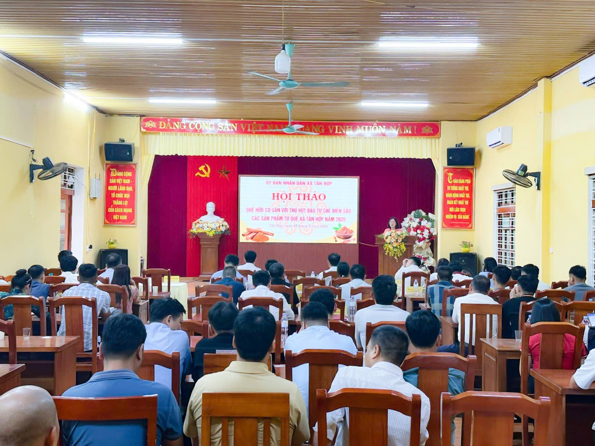 Lào Cai thúc đẩy phát triển quế hữu cơ, mở hướng thu hút đầu tư chế biến sâu
