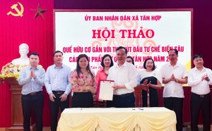 Lào Cai thúc đẩy phát triển quế hữu cơ, mở hướng thu hút đầu tư chế biến sâu