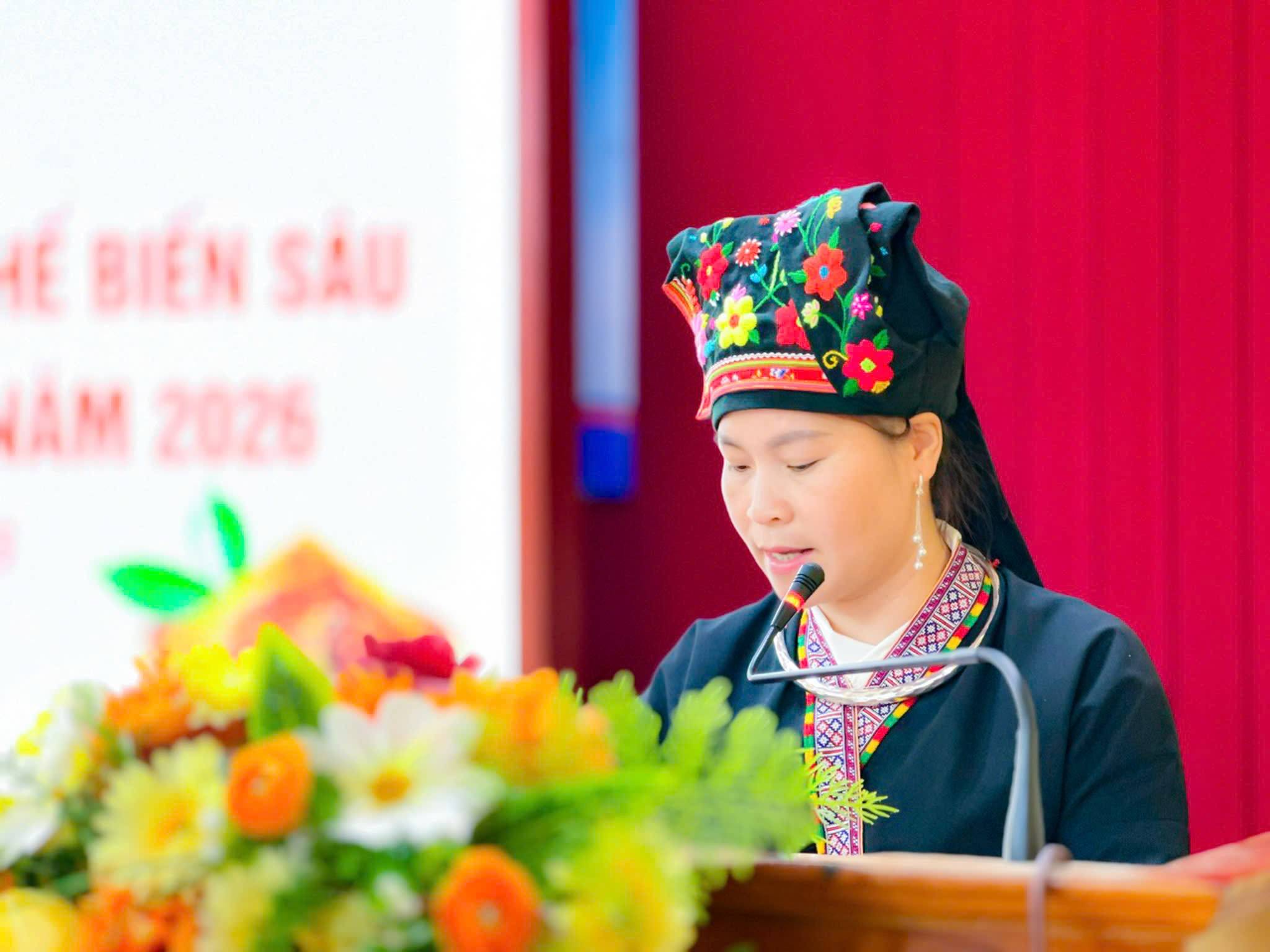 Lào Cai thúc đẩy phát triển quế hữu cơ, mở hướng thu hút đầu tư chế biến sâu
