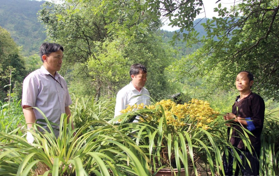 Lào Cai: Mù Cang Chải phát huy dân chủ, huy động sức dân phát triển kinh tế bền vững