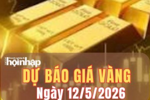 Dự báo giá vàng 12/5/2026: Giá vàng có thể tiếp đà giảm