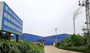 Phú Thọ yêu cầu dừng nhà máy viên nén gỗ gây ô nhiễm