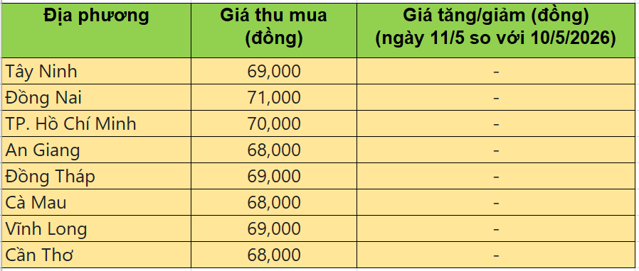 Bảng giá heo hơi tại miền Nam hôm nay 11/5/2026