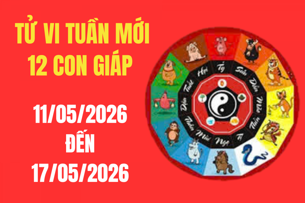 Tử vi tuần mới 12 con giáp 11/5 - 17/5/2026: Vận mệnh sự nghiệp, tài lộc, tình duyên biến động ra sao trong tuần này?