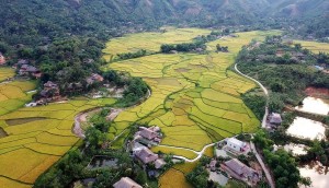 Lào Cai mở hướng phát triển kinh tế nông thôn từ du lịch trải nghiệm