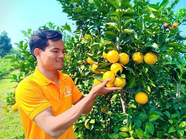 Dòng vốn xanh mở lối nông nghiệp sạch Hà Tĩnh bứt phá mạnh mẽ