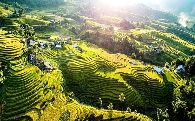 Giải chạy mùa nước đổ Sa Pa 2026 hứa hẹn hút du khách đến vùng cao Lào Cai