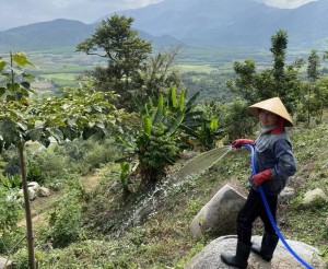 Khánh Hòa cần tháo gỡ những “điểm nghẽn” của kinh tế tập thể trong lĩnh vực nông nghiệp