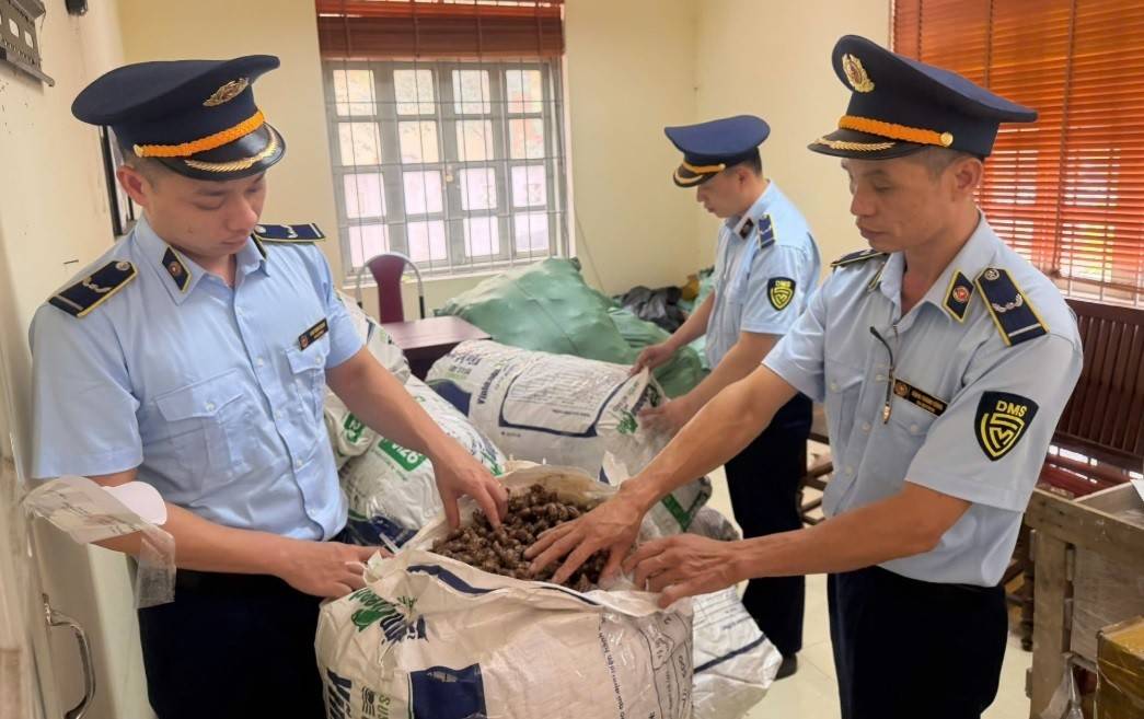  Toàn bộ số hàng hóa được lực lượng Quản lý thị trường tỉnh Lạng Sơn chuyển về trụ sở để xử lý theo quy định của pháp luật.