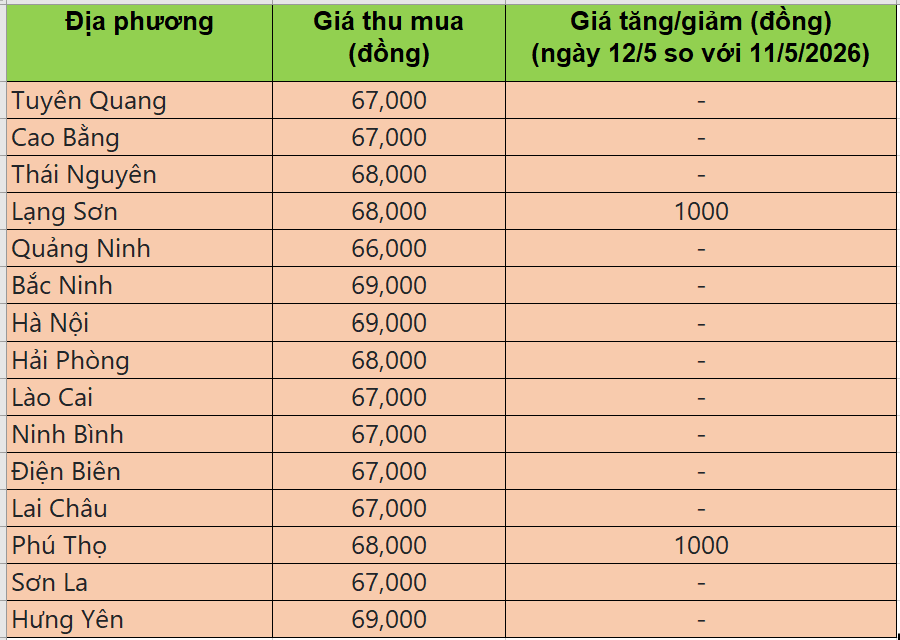 giá heo hơi