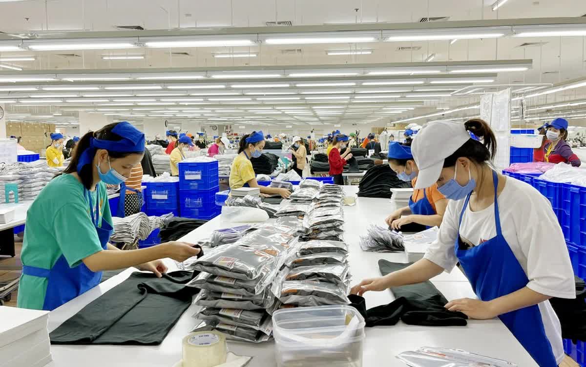 Đơn hàng trở lại, doanh nghiệp ráo riết tuyển lao động