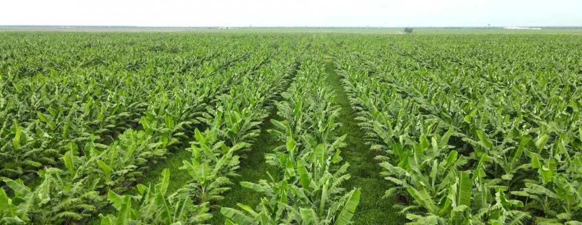THACO,THACO metro,THACO đường sắt,THACO ô tô,THACO AGRI
